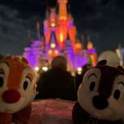 ヒメ日記 2025/11/05 15:21 投稿 実里（みのり） 丸妻 錦糸町店