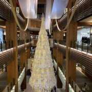 ヒメ日記 2025/12/02 14:14 投稿 実里（みのり） 丸妻 錦糸町店