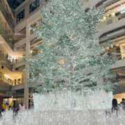 ヒメ日記 2025/12/12 19:49 投稿 実里（みのり） 丸妻 錦糸町店