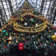 ヒメ日記 2025/12/19 21:39 投稿 実里（みのり） 丸妻 錦糸町店