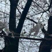 ヒメ日記 2026/03/26 19:26 投稿 実里（みのり） 丸妻 錦糸町店