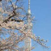 ヒメ日記 2026/04/01 09:48 投稿 実里（みのり） 丸妻 錦糸町店