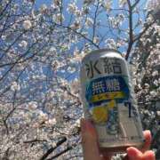 ヒメ日記 2026/04/03 15:42 投稿 実里（みのり） 丸妻 錦糸町店