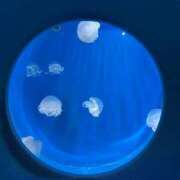 ヒメ日記 2026/05/21 09:44 投稿 実里（みのり） 丸妻 錦糸町店