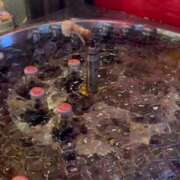 ヒメ日記 2026/05/30 08:41 投稿 実里（みのり） 丸妻 錦糸町店