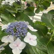 ヒメ日記 2026/06/17 22:59 投稿 実里（みのり） 丸妻 錦糸町店