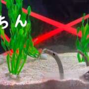ヒメ日記 2026/07/26 00:03 投稿 実里（みのり） 丸妻 錦糸町店