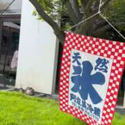 ヒメ日記 2026/08/30 23:49 投稿 実里（みのり） 丸妻 錦糸町店