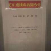 ヒメ日記 2026/09/11 12:37 投稿 実里（みのり） 丸妻 錦糸町店