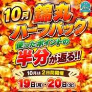 ヒメ日記 2026/10/19 06:46 投稿 実里（みのり） 丸妻 錦糸町店