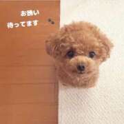 ヒメ日記 2025/05/24 19:27 投稿 みほ clubさくら難波店