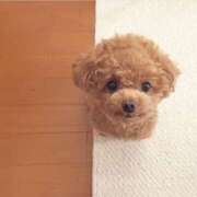 みほ みほ（奥様さくら難波店） 奥様さくら難波店