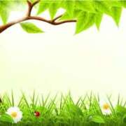 二葉 直近の出勤予定です 待ちナビ