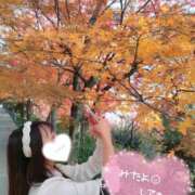 ヒメ日記 2024/12/17 16:42 投稿 なな Evolution 2nd