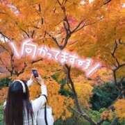 ヒメ日記 2024/12/19 17:29 投稿 なな Evolution 2nd