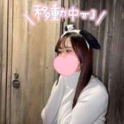 ヒメ日記 2024/12/31 15:42 投稿 なな Evolution 2nd