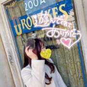 ヒメ日記 2025/01/08 16:32 投稿 なな Evolution 2nd