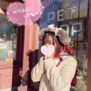 ヒメ日記 2025/01/17 15:03 投稿 なな Evolution 2nd