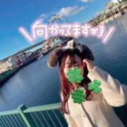 ヒメ日記 2025/02/10 18:18 投稿 なな Evolution 2nd