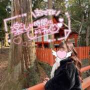 ヒメ日記 2025/02/12 14:56 投稿 なな Evolution 2nd