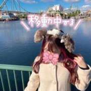 ヒメ日記 2025/03/05 17:27 投稿 なな Evolution 2nd