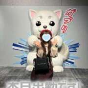 ヒメ日記 2025/03/13 15:32 投稿 なな Evolution 2nd