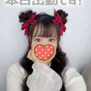 ヒメ日記 2025/04/14 15:02 投稿 なな Evolution 2nd