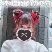 ヒメ日記 2025/04/16 16:22 投稿 なな Evolution 2nd