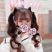 ヒメ日記 2025/04/23 18:22 投稿 なな Evolution 2nd