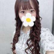 ヒメ日記 2025/07/29 17:33 投稿 なな Evolution 2nd