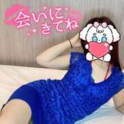 ヒメ日記 2025/08/12 20:42 投稿 なな Evolution 2nd