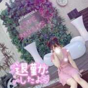 ヒメ日記 2025/08/24 23:12 投稿 なな Evolution 2nd