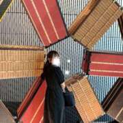 ヒメ日記 2025/08/26 22:22 投稿 なな Evolution 2nd