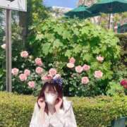 ヒメ日記 2025/10/28 15:52 投稿 なな Evolution 2nd