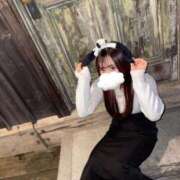 ヒメ日記 2025/11/20 19:22 投稿 なな Evolution 2nd