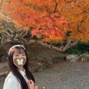 ヒメ日記 2025/11/21 17:22 投稿 なな Evolution 2nd