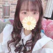 ヒメ日記 2025/11/26 16:52 投稿 なな Evolution 2nd