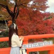 ヒメ日記 2025/11/30 17:32 投稿 なな Evolution 2nd