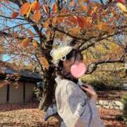 ヒメ日記 2025/12/11 14:32 投稿 なな Evolution 2nd