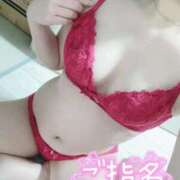 ヒメ日記 2025/12/19 20:12 投稿 なな Evolution 2nd