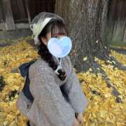 ヒメ日記 2026/01/15 15:02 投稿 なな Evolution 2nd