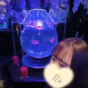 ヒメ日記 2026/03/17 17:32 投稿 なな Evolution 2nd