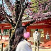 ヒメ日記 2026/04/03 14:04 投稿 なな Evolution 2nd