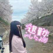 ヒメ日記 2026/05/04 23:52 投稿 なな Evolution 2nd