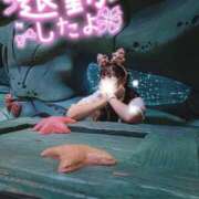 ヒメ日記 2026/07/04 23:02 投稿 なな Evolution 2nd