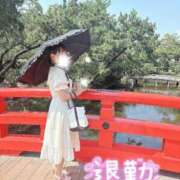 ヒメ日記 2026/07/13 23:12 投稿 なな Evolution 2nd