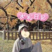 ヒメ日記 2026/09/20 14:35 投稿 なな Evolution 2nd