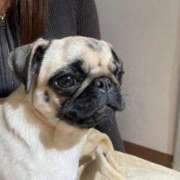 ヒメ日記 2025/01/30 17:03 投稿 くみ SOAPLAND LOVE FACTORY