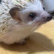 ヒメ日記 2025/10/20 09:12 投稿 くみ SOAPLAND LOVE FACTORY