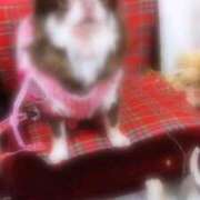 ヒメ日記 2025/12/26 15:35 投稿 くみ SOAPLAND LOVE FACTORY